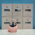 6 PCS (15 each) Le Falcone Bonita La Rose Eau de Parfum 100ml 3.4fl.oz